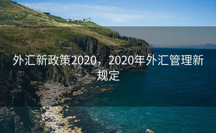 外汇新政策2020，2020年外汇管理新规定