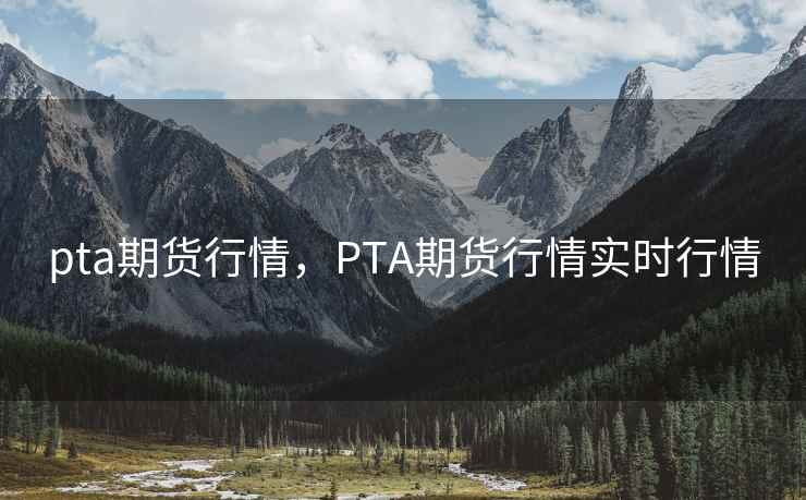 pta期货行情，PTA期货行情实时行情