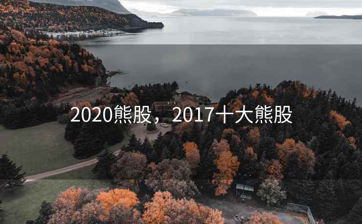 2020熊股，2017十大熊股