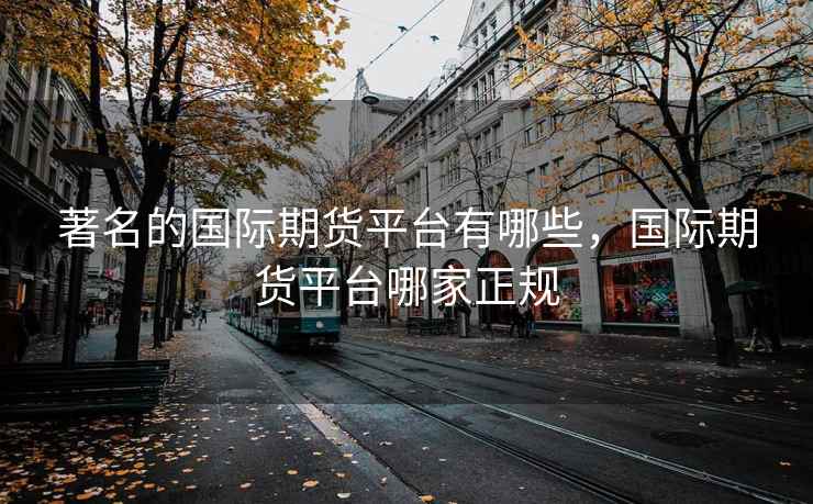 著名的国际期货平台有哪些，国际期货平台哪家正规