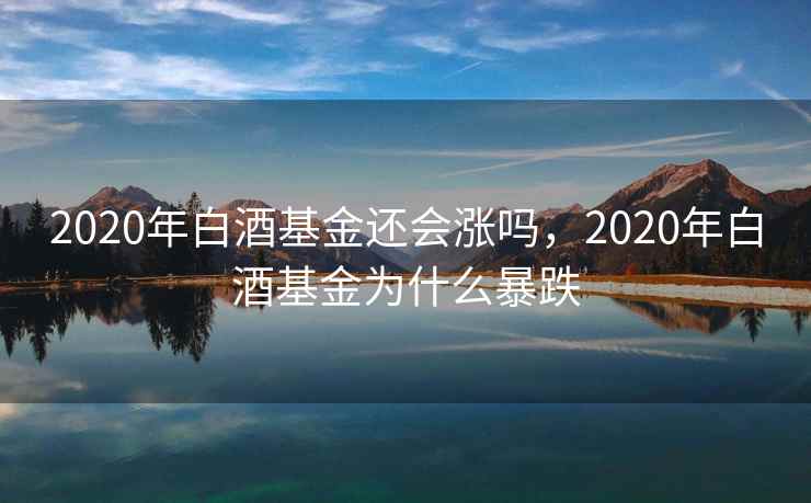 2020年白酒基金还会涨吗，2020年白酒基金为什么暴跌