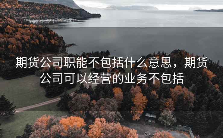 期货公司职能不包括什么意思，期货公司可以经营的业务不包括